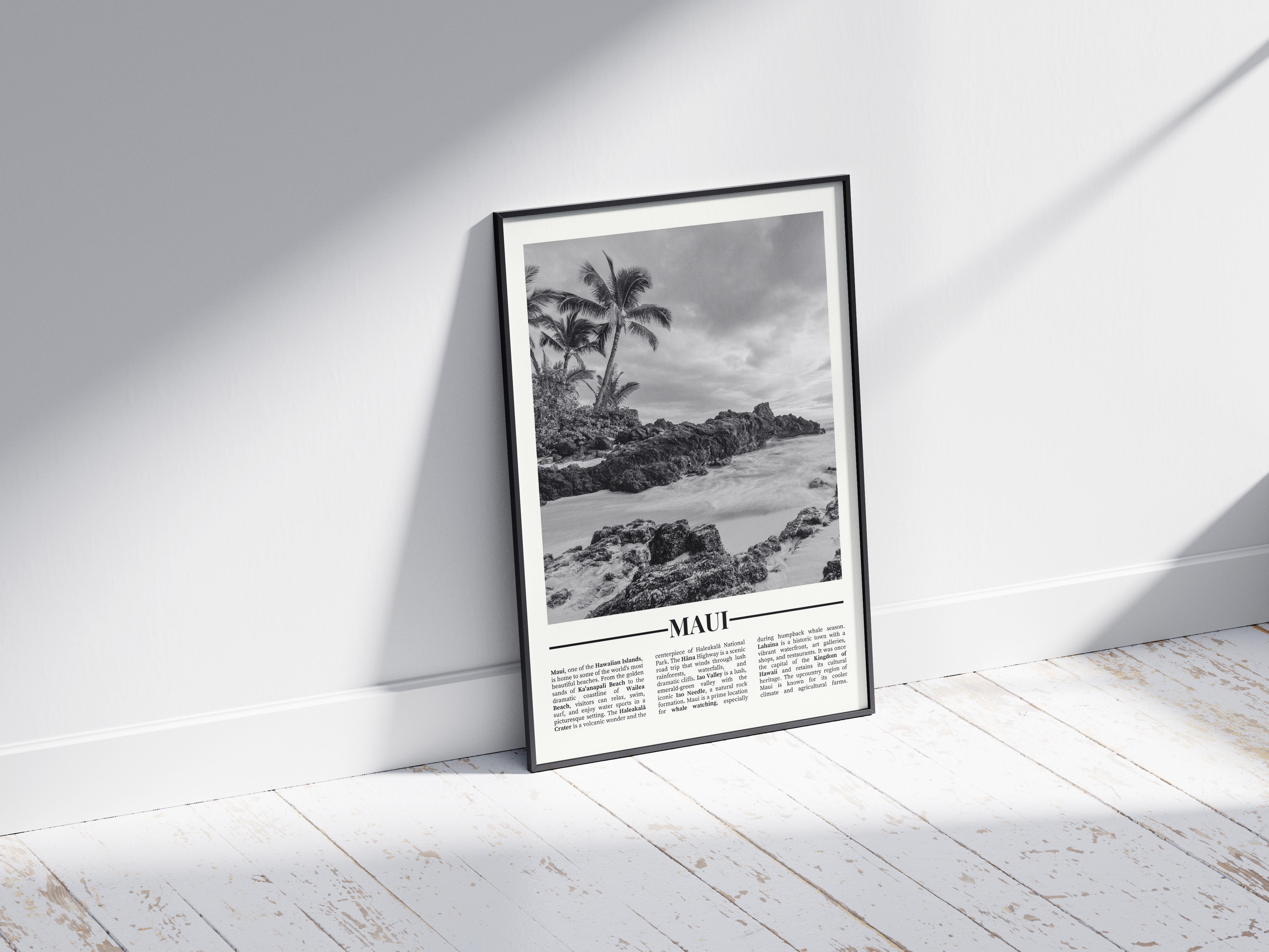 Black & White: Maui 2.0